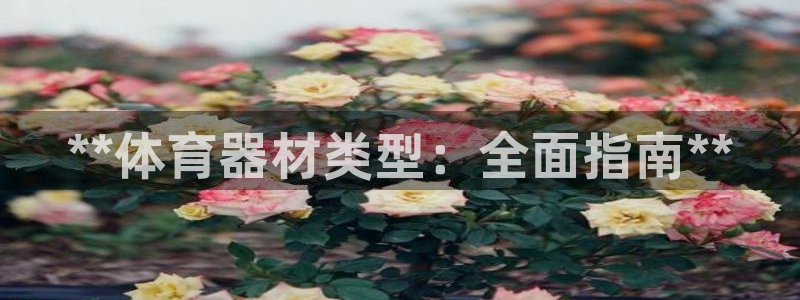 耀世油烟机价格及图片：**体育器材类型：全面指南**