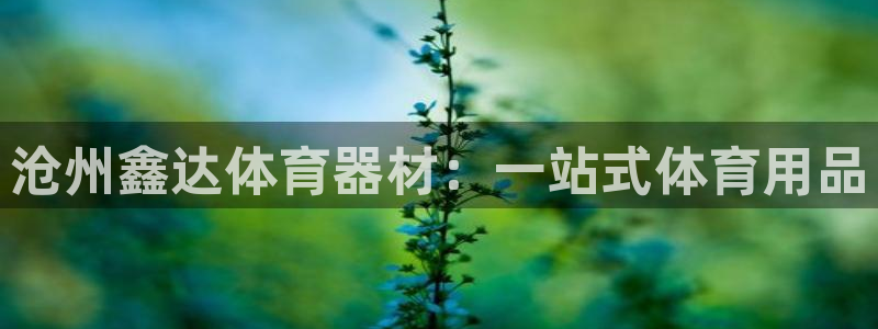 耀世挑战第3关怎么过：沧州鑫达体育器材：一站式体育用