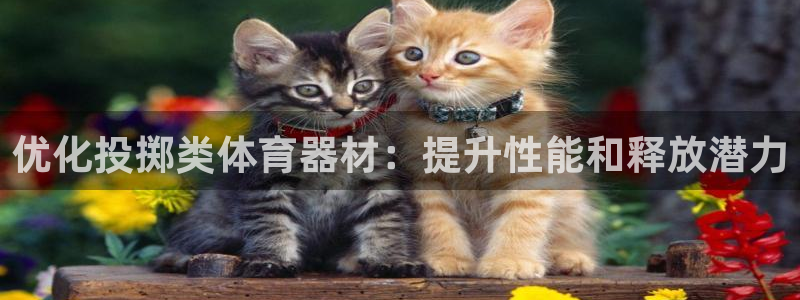 耀世平台可 585341 平台：优化投掷类体育器材：