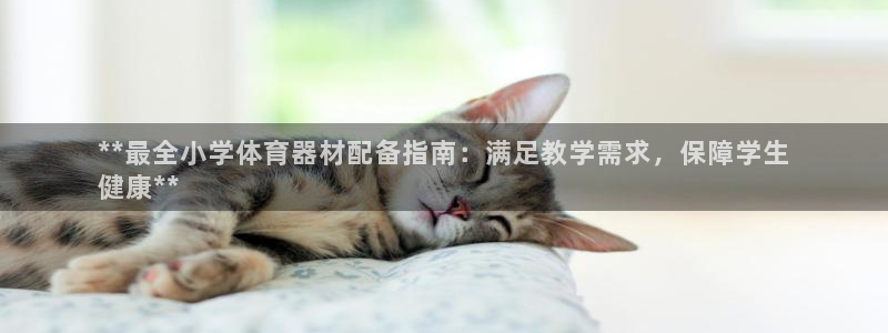 耀世娱乐如何登录账号啊：**最全小学体育器材配备指南