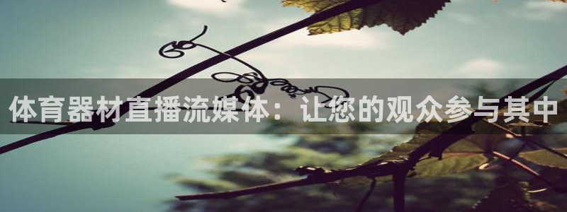 耀世集团视频直播怎么样：体育器材直播流媒体：让您的观
