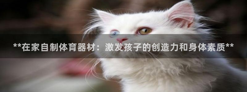 耀世平台升 5O6917 平台：**在家自制体育器材