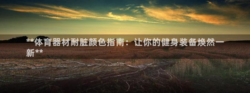 耀世娱乐注册账号：**体育器材耐脏颜色指南：让你的健