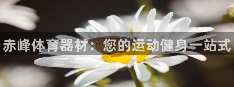 耀世盛典官网下载：赤峰体育器材：您的运动健身一站式