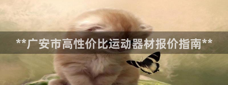 耀世楼盘：**广安市高性价比运动器材报价指南**