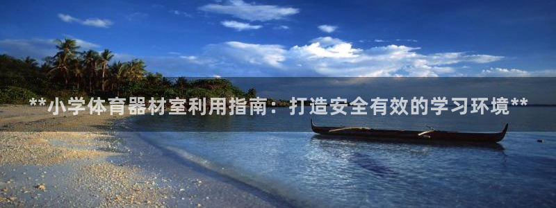 耀世集团王大聪简介：**小学体育器材室利用指南：打造