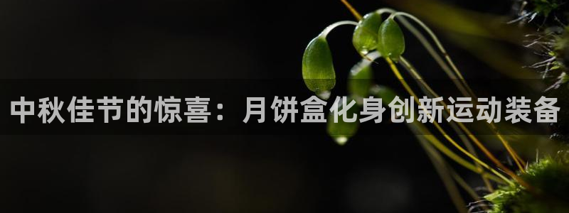 耀世娱乐挂机事件详情：中秋佳节的惊喜：月饼盒化身创新