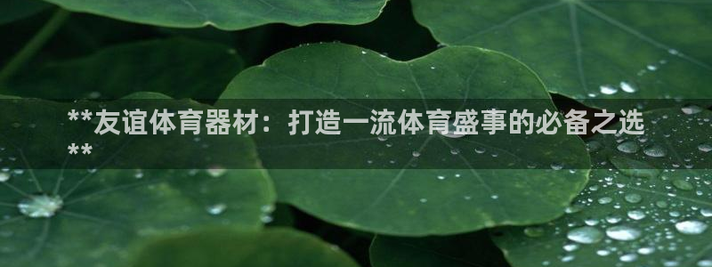 耀世集团是什么电影里的人物：**友谊体育器材：打造一
