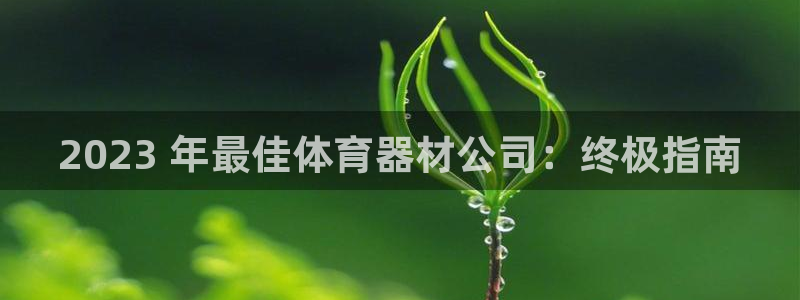 耀世挑战怎么打：2023 年最佳体育器材公司：终极指