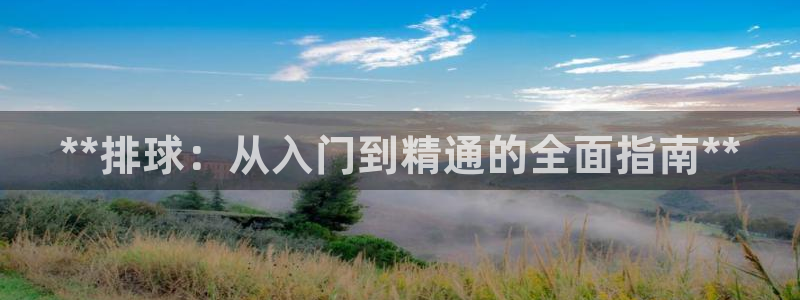 耀世平台代理怎么样啊：**排球：从入门到精通的全面指
