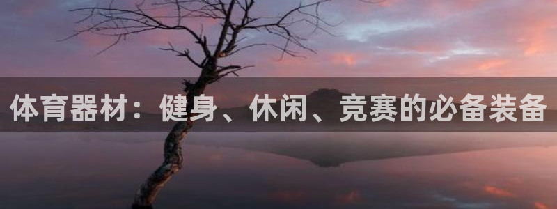 耀世娱乐官网注册：体育器材：健身、休闲、竞赛的必备装