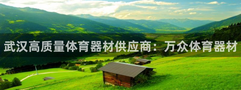 耀世平台注册链接怎么弄：武汉高质量体育器材供应商：万