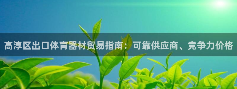 耀世平台乙六七五一38：高淳区出口体育器材贸易指南：