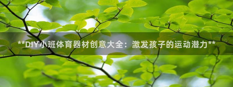 耀世娱乐登陆地址怎么改：**DIY小班体育器材创意大