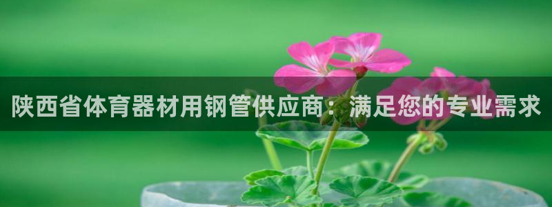 耀世平台可 585341 平台：陕西省体育器材用钢管