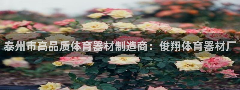 耀世娱乐注册官网：泰州市高品质体育器材制造商：俊翔体