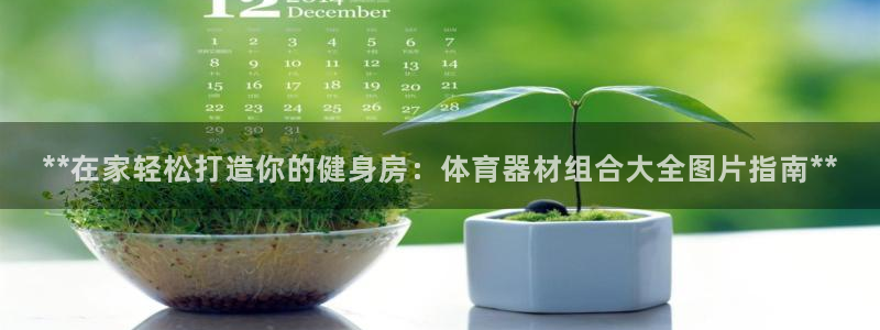 耀世娱乐注册账号：**在家轻松打造你的健身房：体育器