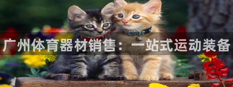 耀世娱乐安全吗可靠吗：广州体育器材销售：一站式运动装备