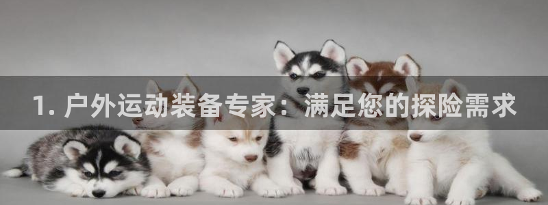 耀世平台登录地址是什么：1. 户外运动装备专家：满足