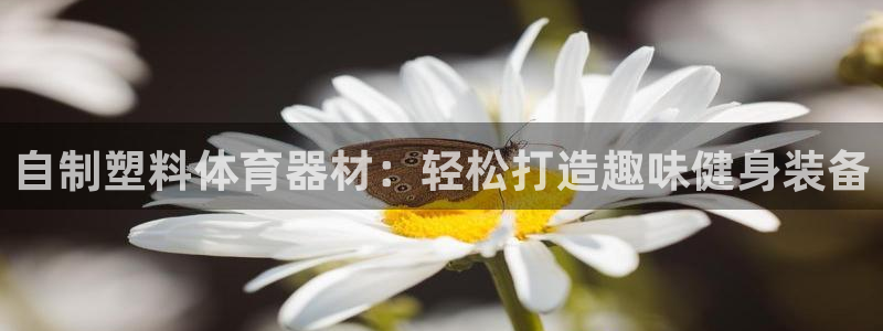 耀世平台代理怎么样可靠吗：自制塑料体育器材：轻松打造