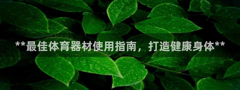 耀世娱乐的4.9.4.0.3 天乐：**最佳体育器材