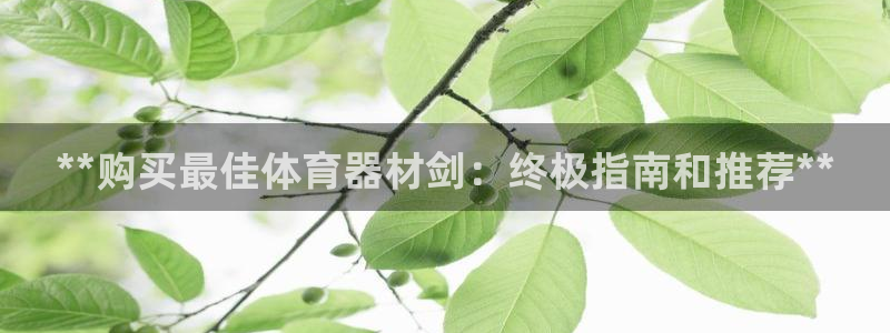 耀世娱乐是玛雅旗下的吗：**购买最佳体育器材剑：终极