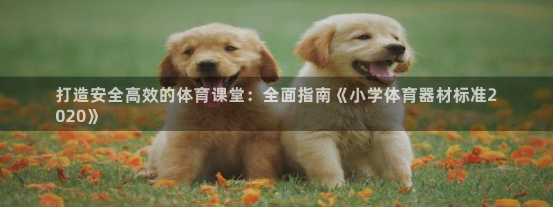 耀世娱乐官网首页登录入口：打造安全高效的体育课堂：全