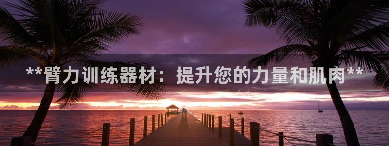 耀世娱乐中国创新：**臂力训练器材：提升您的力量和肌