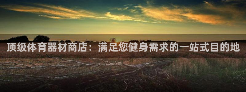 耀世国际平台正规吗安全吗是真的吗：顶级体育器材商店：
