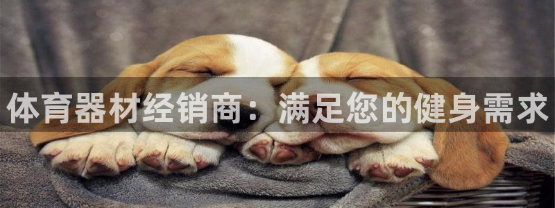 耀世娱乐能不能提现：体育器材经销商：满足您的健身需求