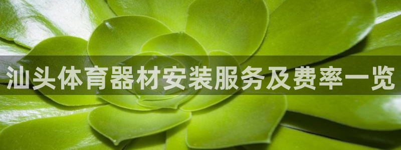 耀世平台代理多少钱一次：汕头体育器材安装服务及费率一