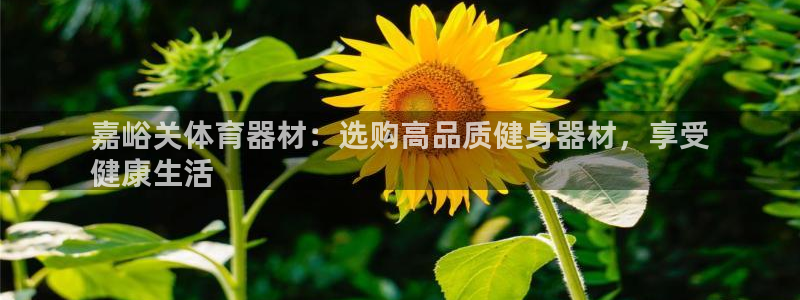 耀世娱乐安全吗知乎：嘉峪关体育器材：选购高品质健身器材，享受