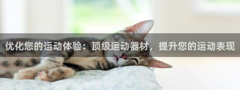 耀世娱乐登陆：优化您的运动体验：顶级运动器材，提升您