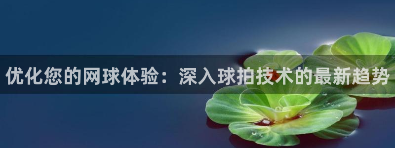 耀世平台华 5O6917 平台：优化您的网球体验：深