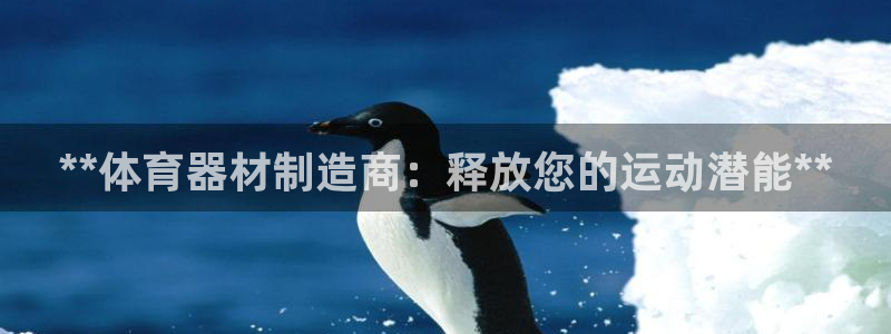 耀世启航什么意思：**体育器材制造商：释放您的运动潜