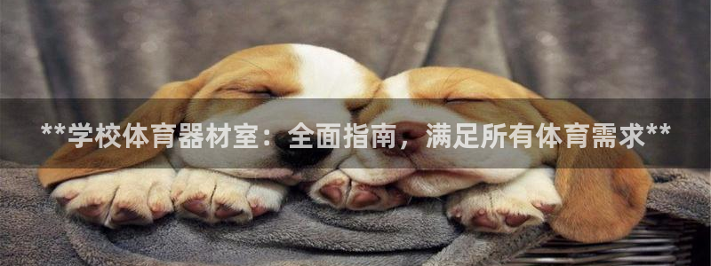 耀世国际集团是国企吗还是央企：**学校体育器材室：全