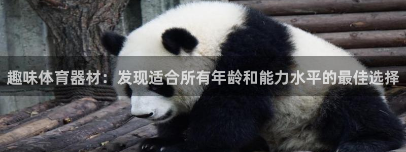 耀世平台开户要求是什么：趣味体育器材：发现适合所有年