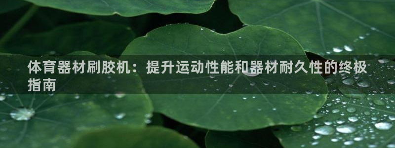 耀世国际集团董事长：体育器材刷胶机：提升运动性能和器材耐久性
