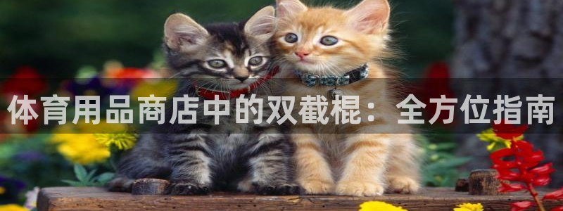 耀世娱乐登录注册教程：体育用品商店中的双截棍：全方位