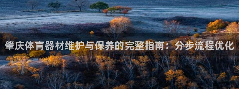 耀世娱乐怎么注册不了：肇庆体育器材维护与保养的完整指南：分步