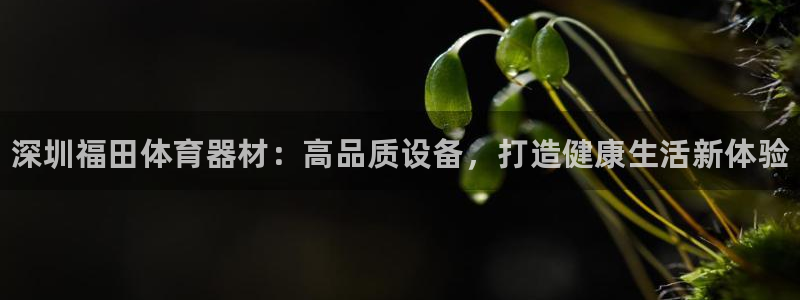 耀世盛典官网入口：深圳福田体育器材：高品质设备，打造