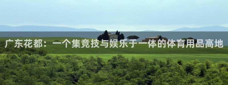 耀世集团董事长儿子：广东花都：一个集竞技与娱乐于一体