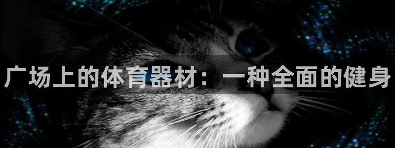 耀世天下短句：广场上的体育器材：一种全面的健身