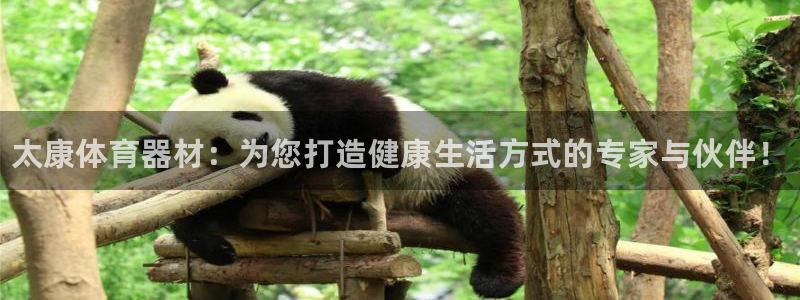 耀世的意思是什么：太康体育器材：为您打造健康生活方式