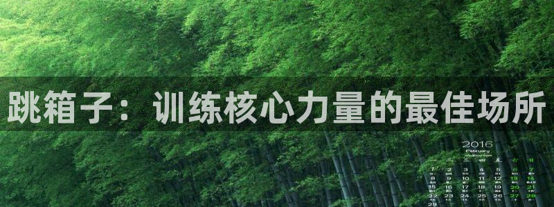 耀世天下的微信名字好吗：跳箱子：训练核心力量的最佳场所