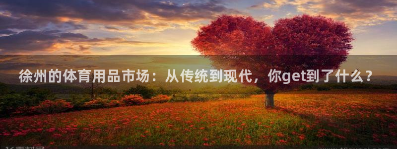 耀世娱乐网站官网：徐州的体育用品市场：从传统到现代，你get